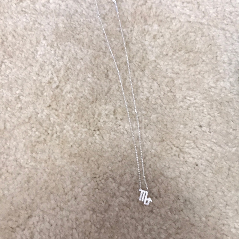 Scorpio Necklace